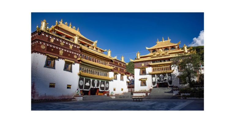 Professional Roofing Service Solutions for Long-Lasting Protection and Value